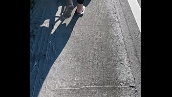 New Port Richey thumbnail