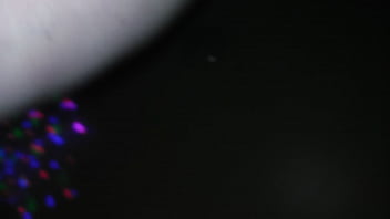 Get that pussy cakes