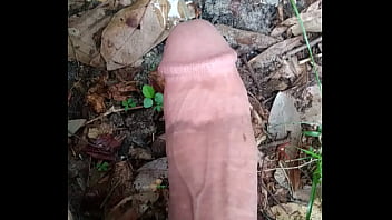 Penis peeing
