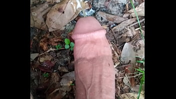 Penis peeing
