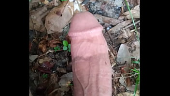 Penis peeing