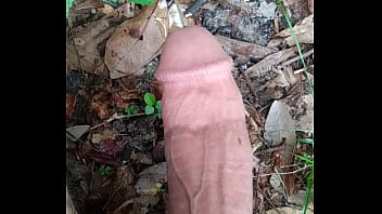 Penis peeing
