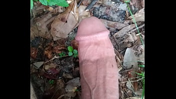 Penis peeing