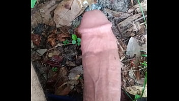 Penis peeing
