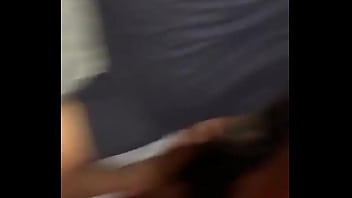 Philly Top Breeding thumbnail