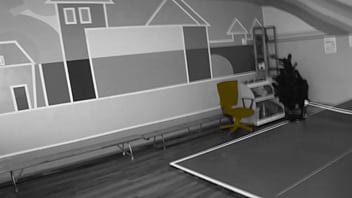 Deceit Horizontal thumbnail