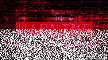 Tampa university entrance physical nikki star