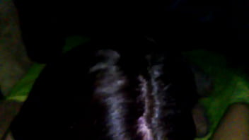 Bobbing head wet pussy