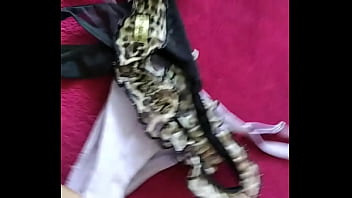 Marido viado de balneário camboriú