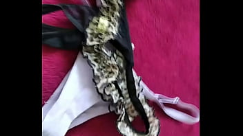 Marido viado de balneário camboriú