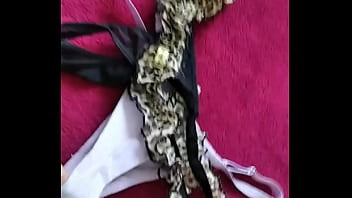 Marido viado de balneário camboriú