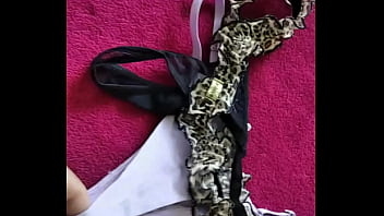 Marido viado de balneário camboriú