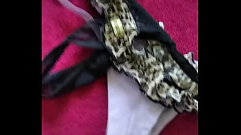 Marido viado de balneário camboriú