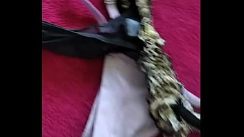 Marido viado de balneário camboriú