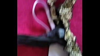 Marido viado de balneário camboriú