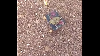 Lucas Pissing Off In Rezende Ex Girlfriend Gift And Putting Fire thumbnail