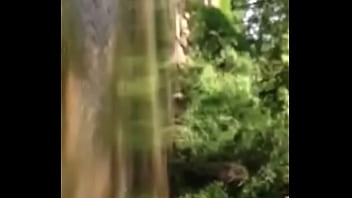 Received 1339199602773139