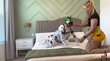 Goodboipup's training