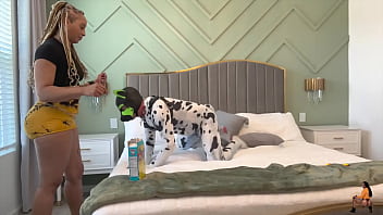 Goodboipup's training