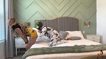 Goodboipup's training