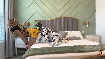 Goodboipup's training