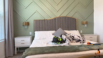 Goodboipup's training