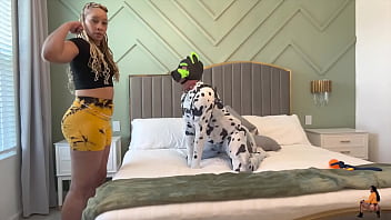 Goodboipup's training