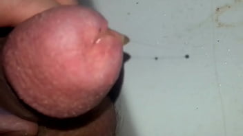 Furtender schwanz wegen kohlensäure insertion