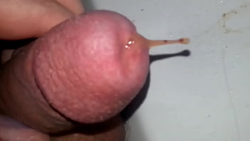 Furtender schwanz wegen kohlensäure insertion