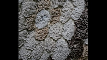 فيديو التحقق