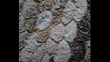 فيديو التحقق