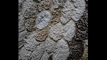 فيديو التحقق