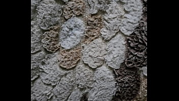 فيديو التحقق