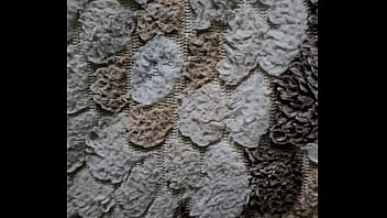 فيديو التحقق