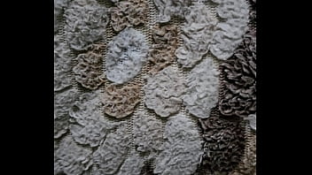 فيديو التحقق