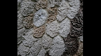 فيديو التحقق