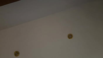 Cachandola patas arriba