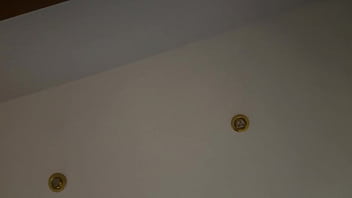 Cachandola patas arriba