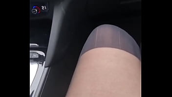 Lilacurvy update #68 oct 28 2021