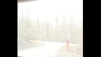 Lilacurvy update #93 apr 06 2021