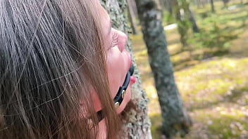 A forest gift for a mushroom picker