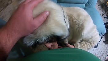 Milfycalla compilation fetish sex blow jobs and rough sex while wearing sexy fur coats 4 preview