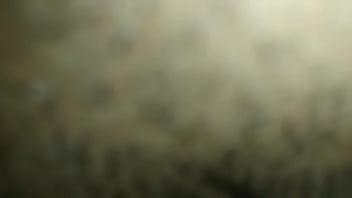 Novinha gamer dando a buceta de madrugada casal akira