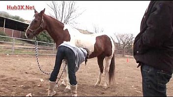 Hub3xnet Iloveanal 03 thumbnail