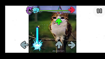 Fnf mod del gato pendejo de tik tok