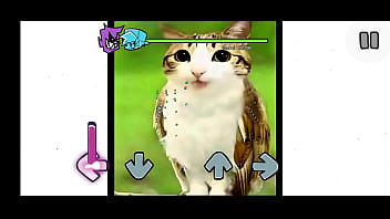Fnf mod del gato pendejo de tik tok