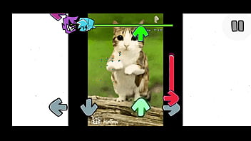 Fnf mod del gato pendejo de tik tok