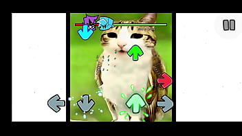 Fnf mod del gato pendejo de tik tok