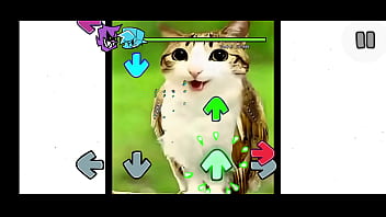 Fnf mod del gato pendejo de tik tok