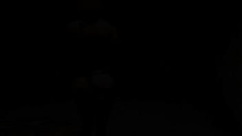 Fallout 4 first a fight then sex